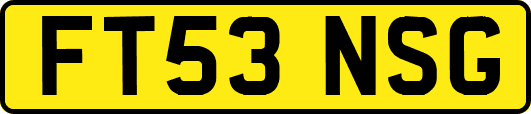 FT53NSG