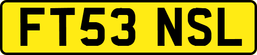 FT53NSL