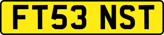 FT53NST