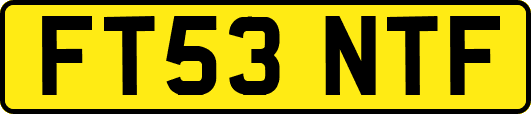 FT53NTF