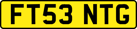 FT53NTG