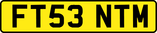 FT53NTM