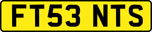FT53NTS