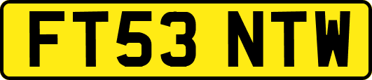 FT53NTW