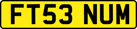 FT53NUM
