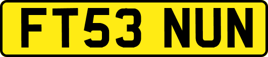 FT53NUN