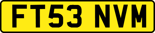 FT53NVM