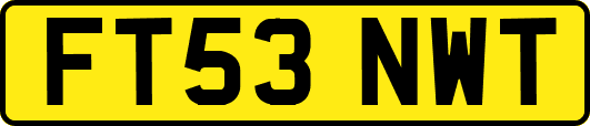 FT53NWT