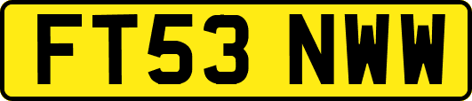 FT53NWW