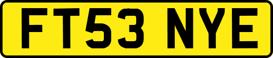 FT53NYE