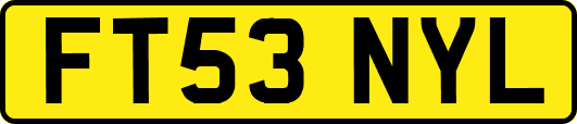 FT53NYL