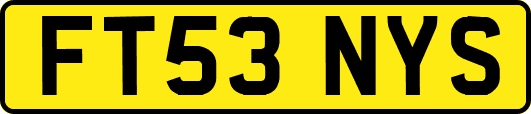 FT53NYS