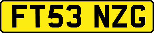 FT53NZG