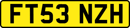 FT53NZH