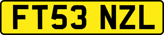 FT53NZL