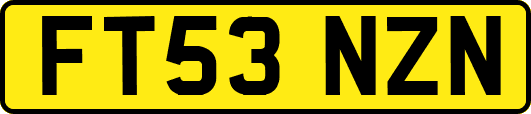FT53NZN