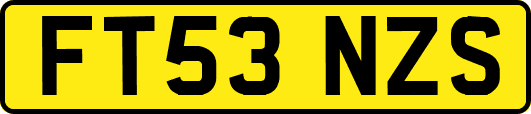 FT53NZS