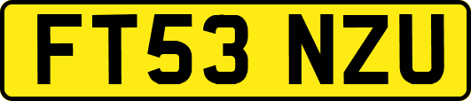 FT53NZU