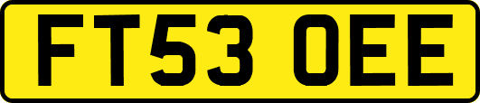 FT53OEE