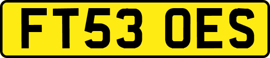 FT53OES