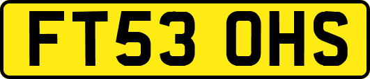 FT53OHS