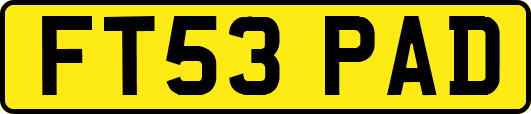 FT53PAD
