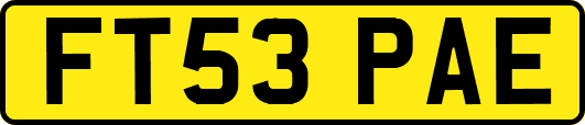 FT53PAE