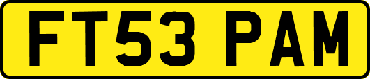 FT53PAM