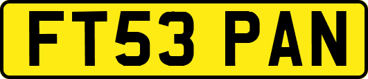 FT53PAN