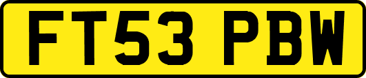 FT53PBW