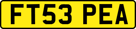 FT53PEA