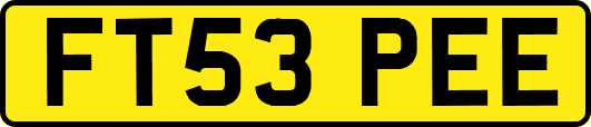 FT53PEE