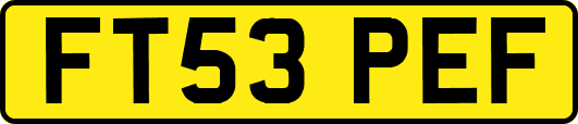 FT53PEF
