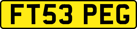 FT53PEG