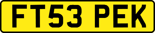 FT53PEK