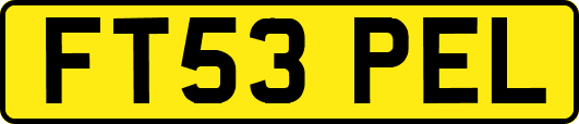 FT53PEL