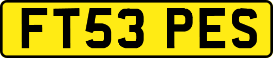 FT53PES