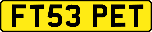 FT53PET