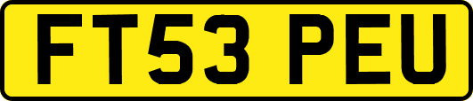 FT53PEU