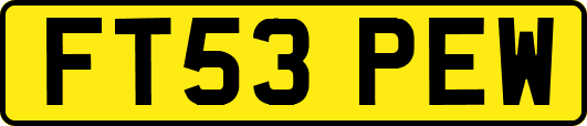 FT53PEW