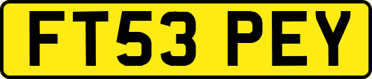 FT53PEY