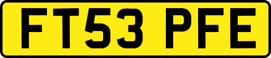 FT53PFE