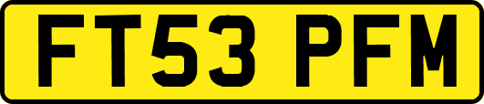 FT53PFM