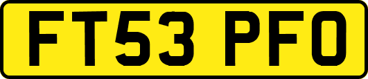 FT53PFO
