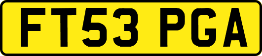 FT53PGA