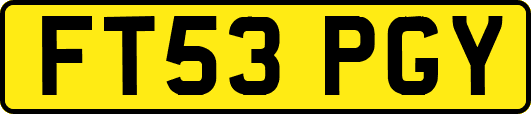 FT53PGY