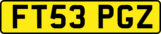 FT53PGZ