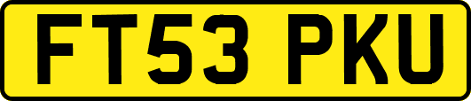 FT53PKU