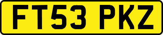 FT53PKZ