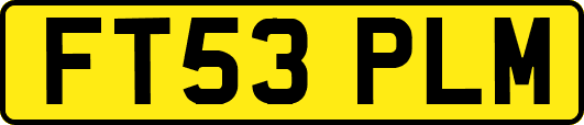 FT53PLM